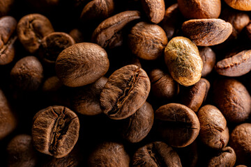 Grão de café do brasil torrado, macro fotografia, background