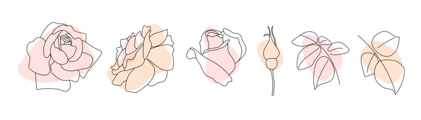 Set of rose flowers with leaves and buds in outline style with abstract pink organic shapes. Botanical vector illustration.	Minimalist hand drawn sketch. 