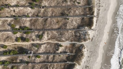 Coastline of Pawleys Island in South Carolina South of Myrtle Beach with beach houses, vacation rental real estate by Atlantic Ocean under blue sky in early morning with sunshine