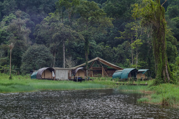 glamping concept that is one with nature, surrounded by tropical rainforests