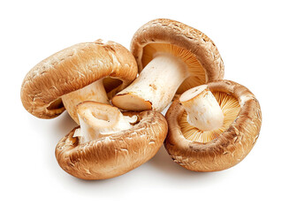 Fototapeta premium Shiitake mushroom isolated on white background. Minimalist style.