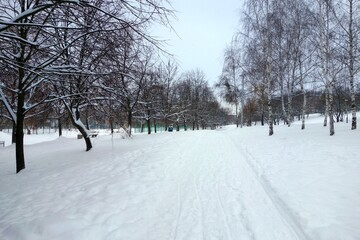 View of the bicycle road among the trees in winter with heavy snowfall