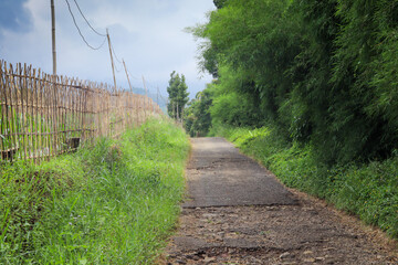 Empty village asphalt road adjacent to lush plantations, showcasing serene rural landscape and...