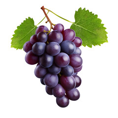 Fototapeta premium bunch of grapes, png