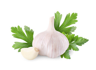 Fresh garlic and green parsley isolated on white