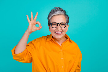 Portrait of positive senior woman demonstrating okey sign good job feedback in office for intern...