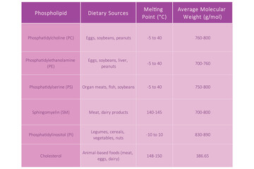 Table showing Phospholipids types, dietary sources, melting point and molecular weight - including PC, PE, PS, PI, SM, cholesterol Purple scientific vector illustration.