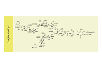 Molecular structure diagram of Ganglioside GQ1b. yellow Scientific vector illustration.