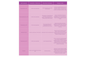 Table showing Phospholipids types,  membrane composition, biosynthesis pathways and biological function - including PC, PE, PS, PI, SM, cholesterol Purple scientific vector illustration.