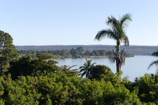 Paranoa Lake sight, trees and palm.