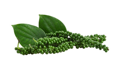 Green peppercorn on