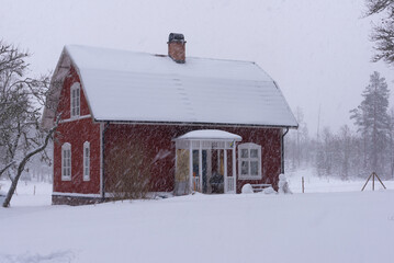 Typical red wooden house in the snowstorm in Sweden, Småland in the wolf winter January 2024. at minus 15 degrees C