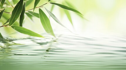 Spa background with green bamboo leaf on white transparent water wave