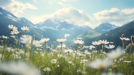 Alpine Edelweiss Meadow Elegance - AI Generated