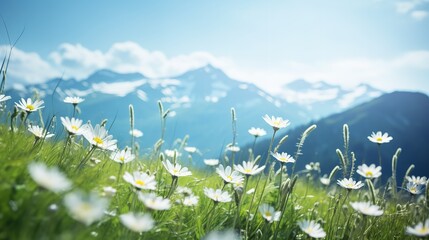 Alpine Edelweiss Meadow Elegance - AI Generated