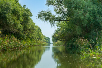 Fototapeta na wymiar Canals through the Danube Delta, Romania