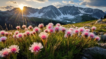 Obraz premium Alpine Edelweiss Meadow Elegance - AI Generated