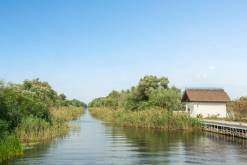 Fototapeta premium Canals through the Danube Delta, Romania