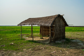 Fototapeta na wymiar A hut made of reeds and bamboo in a field