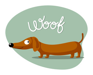Cartoon funny dachshund dog and the word Woof. Flat style illustration, childrens print, postcard, vector