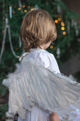 boy in white with wings in Christmas studio