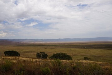 Fototapeta na wymiar african wildlife, crater plain view