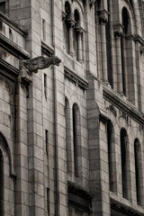 Fototapeta premium Gárgolas de Notre dame, París
