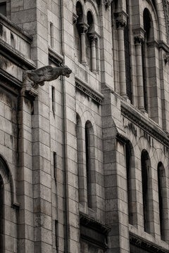 G&aacute;rgolas de Notre dame, Par&iacute;s