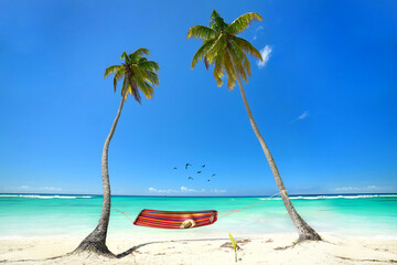 tropischer Strand mit Palmen und Hängematte