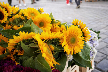 Yellow flowers being sold at the farmers' market