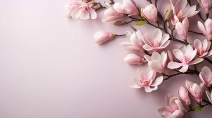 Zelfklevend Fotobehang magnolia flowers branches on a background for copy space top view floral arrangement on a pink pastel background © ТаtyanaGG