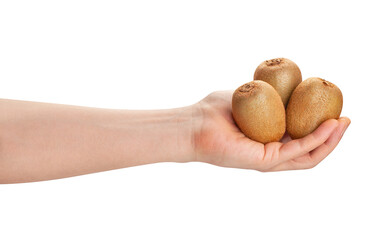 kiwi in hand path isolated on white