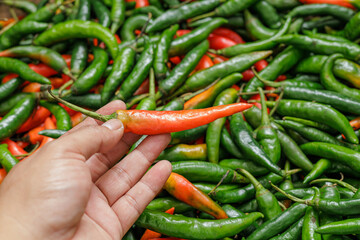 Harvest green and red chilies. Green and red chilies in traditional market. Green and red chilies...