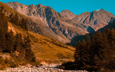 Alpine summer view near Mittelberg, Pitztal valley, Imst, Tyrol, Austria