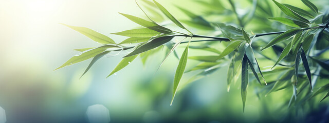 Green bamboo and leaves. background bamboo, growing.nature. - obrazy, fototapety, plakaty