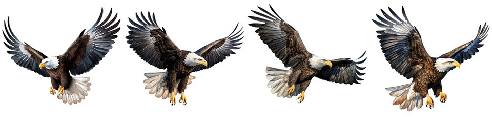 Obraz premium A set of American Eagle is flying gracefully isolated on a transparent background PNG