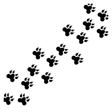 frame with black dog track footprint isolated on white background animal paw print silhouette