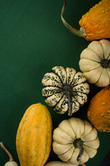 Decorative pumpkin on green background.