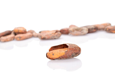Several dry cocoa beans, macro, isolated on white background.