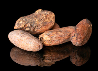 Several dry cocoa beans, macro, isolated on black background.