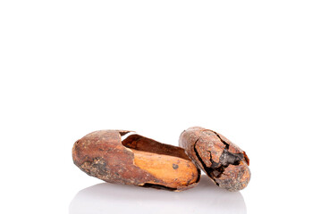 Two cocoa beans, macro, isolated on white background.