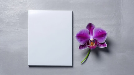 Greeting Cards mockup, empty white blanks, envelopes and magenta orchid flower on smooth grey background with copy space, greeting card template, invitation.