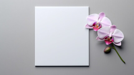 Greeting Cards mockup, empty white blanks, envelopes and magenta orchid flower on smooth grey background with copy space, greeting card template, invitation.