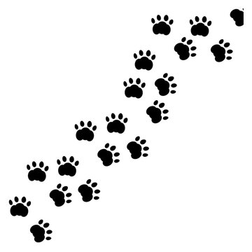 vector cat and dog paw print trail across screen footprint pattern seamless