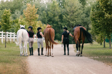 Female riders in equestrian clothes holding the reins and leading her beautiful saddled chestnut...