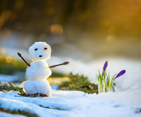 Little funny snowman and crocus flowers in a clearing with snow. Spring meeting.