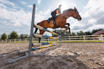 Female horseback rider jumping over a hurdle, a log fence, during training for equestrian...