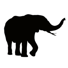 elephant silhouette vector