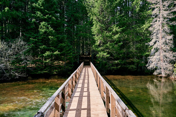 Wooden pedestrian bridge with handrails across a lake to a forested shore