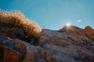 the rock in the desert with sun flare